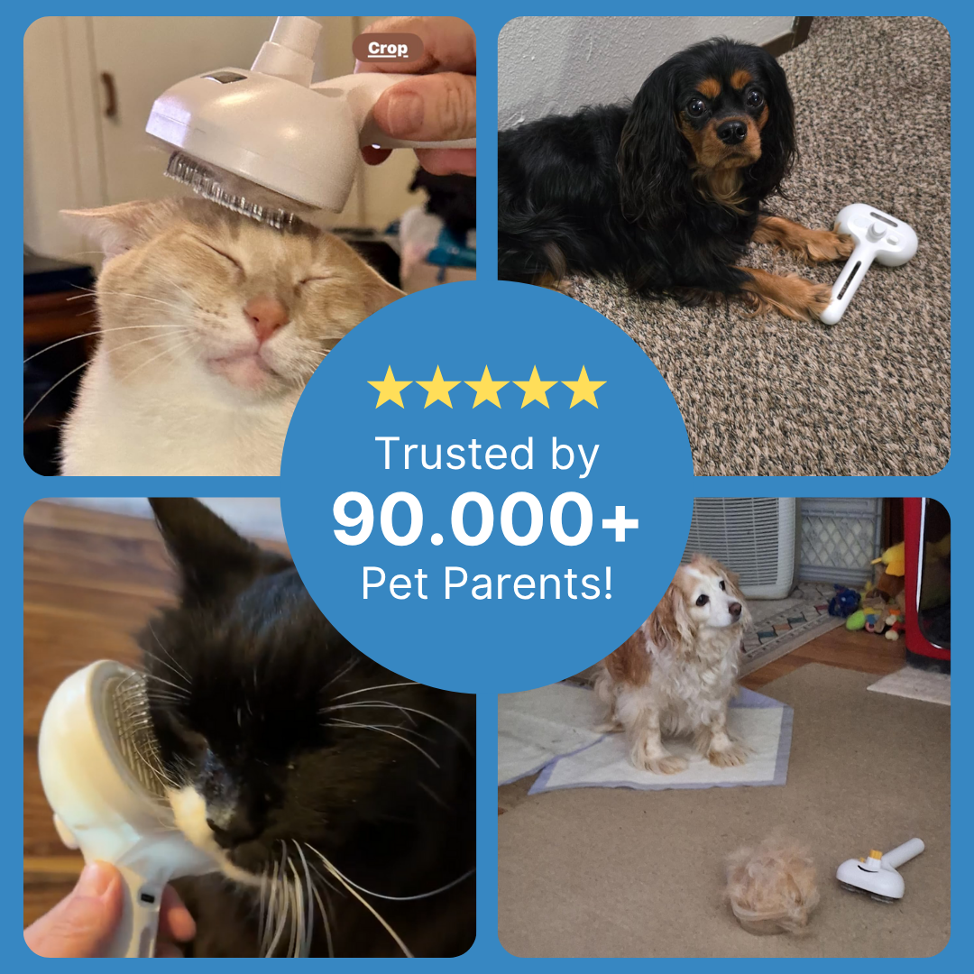 CleanPaws™ PRO Mess-Free Grooming